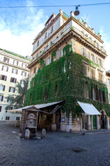 Fototapeta premium Green wild wine on a building and a cobbled steet