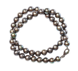 coiled necklace from natural black pearls isolated