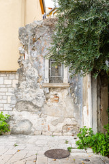 Old ruined house wall surrounded by plants 