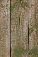 Texture of an old shabby wooden green door