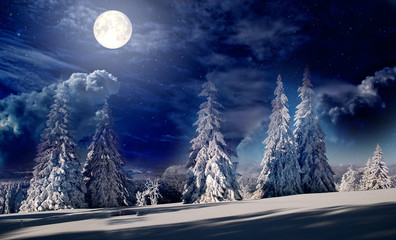 Fairy Spruce trees in the winter, hills at full moon