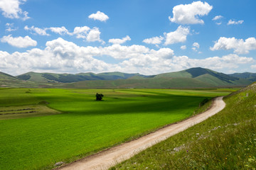 Bucolic landscapes in the big plain of Castelluccio di Norcia