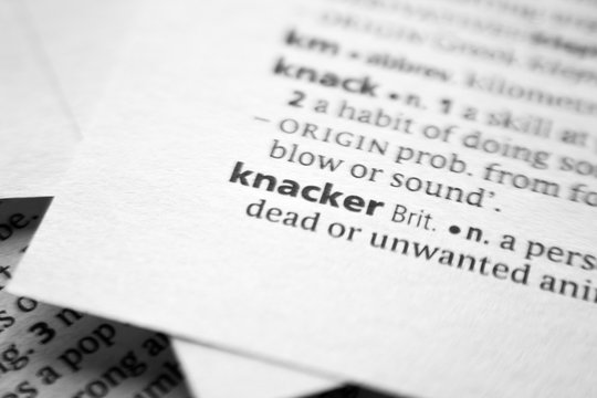 Word or phrase Knacker in a dictionary.