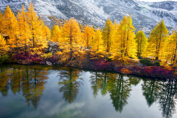  Lake Grindjisee