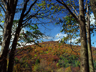 Huta Polanska, Magurki National Park, Beskid Niski Mountains, Carpathians Mountains, Poland