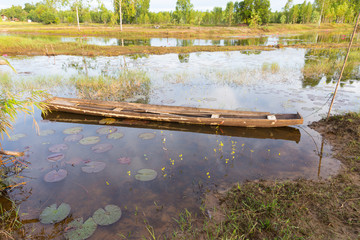 Old fishing boat in the swamp 