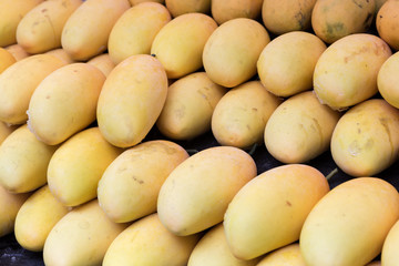 Ripped mangoes are in the fresh market