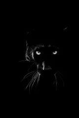 Fotobehang Zwarte panter met een zwarte achtergrond © AB Photography