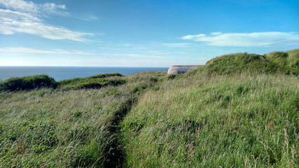 Meerblick XII