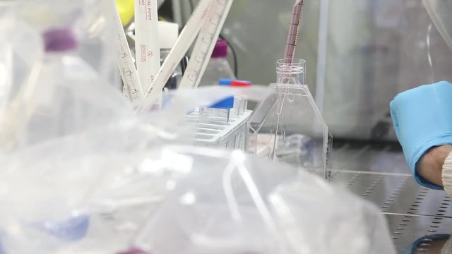 Use of human cancer cells for the study of anticancer drugs