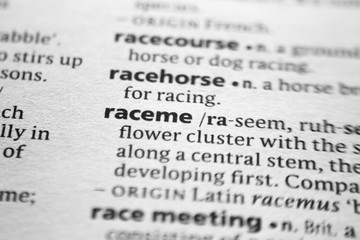 Word or phrase Raceme in a dictionary.