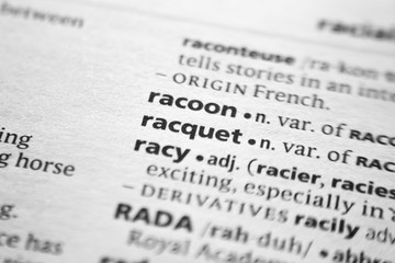 Word or phrase Racoon in a dictionary.