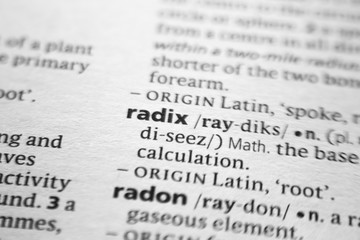 Word or phrase Radix in a dictionary.