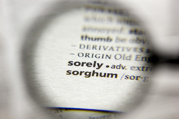 The word or phrase Sorely in a dictionary.