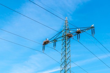 Spring - A dangerous place for stork nests on a high voltage pylon. It's spring and time of mating. On a sunny day in spring in the nature reserve Amöneburger Becken near Marburg.