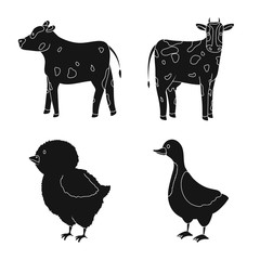 Vector design of ranch and organic logo. Set of ranch and food stock vector illustration.
