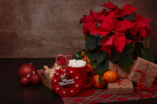 Christmas and New Year decorations, gifts and treat:  gingerbread, cocoa with marshmallow and mandarines.