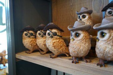Display animal figurines on shelves