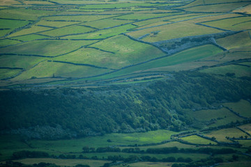 Agricultural fields on Faial, Azores