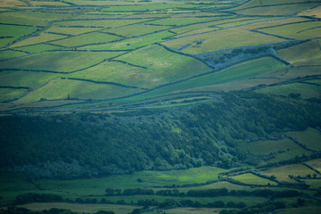 Fototapeta premium Agricultural fields on Faial, Azores