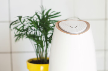 Home white humidifier stands on the table and works in the living room. In the background is a green plant in a yellow pot. Photosynthesis, moisture. The concept of a healthy lifestyle, hydration. Clo