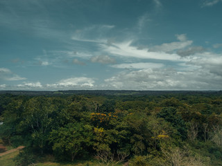 The magical Tropical Dry Forest 