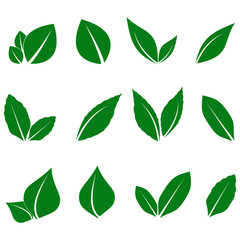 vector image of a green leaf © Dwi Kurnianto