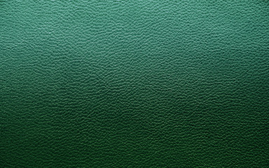 Leather. Green. Gradient. The structure of the skin material close-up.