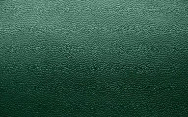 Leather. Green. Gradient. The structure of the skin material close-up.
