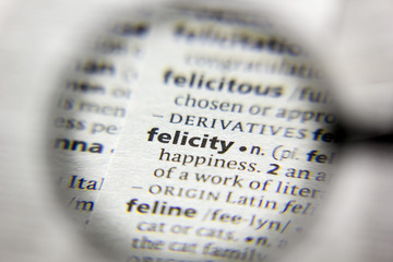The word or phrase Felicity in a dictionary.
