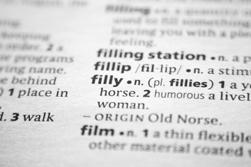 Word or phrase Filly in a dictionary.