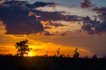 Fototapeta premium Twilight 