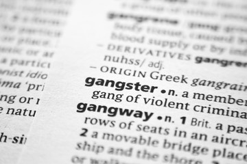 Word or phrase Gangster in a dictionary.
