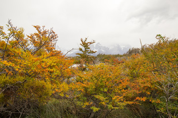 Autumn colors and fog in the Torres del Paine mountains that overlook the waters of a lake, Torres del Paine National Park, Chile