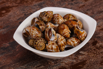 Tasty mollusk - spotted Babylon in the bowl