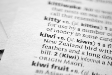 Word or phrase Kiwi in a dictionary.