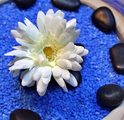 Fototapeta na wymiar white Chriysantheme in wooden bowl on blue decorative stones and white taffeta scarf