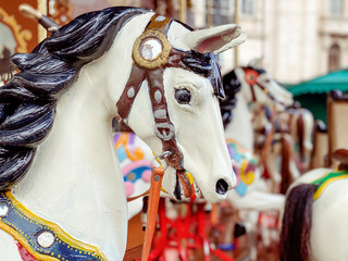 horse of the carousel