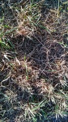 urban textured and grunge backgrounds