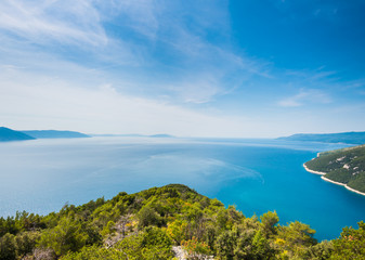 Obraz premium Istrian coastline in Croatia with blue sky, green pine woods and clear waters