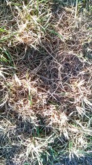 urban textured and grunge backgrounds