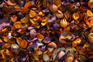 Potpourri colorful background