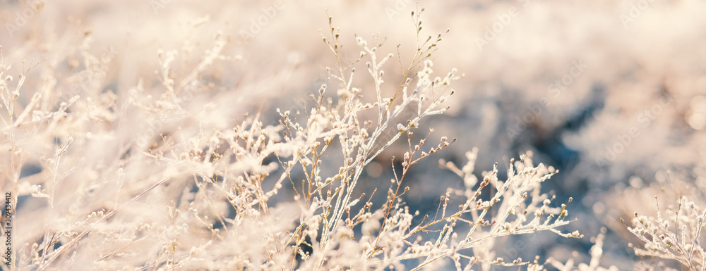 Wall mural abstract winter frost close up with blurred background.