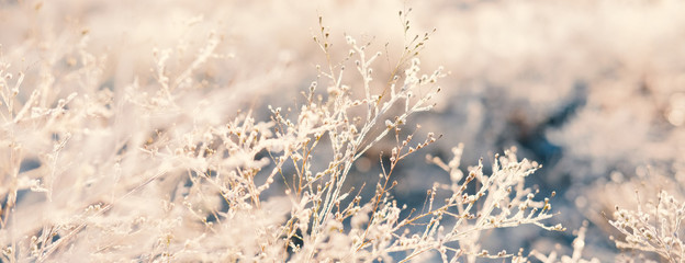 Abstract winter frost close up with blurred background.