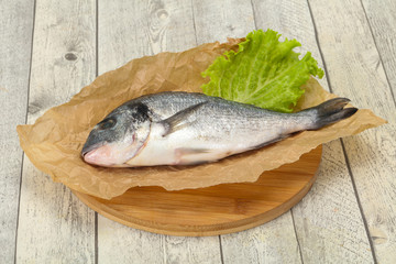 Raw Dorada fish  for cooking