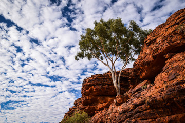 Red Center, Australia