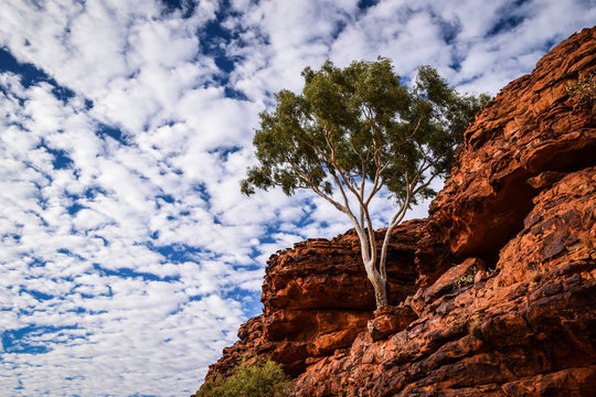 Red Center, Australia