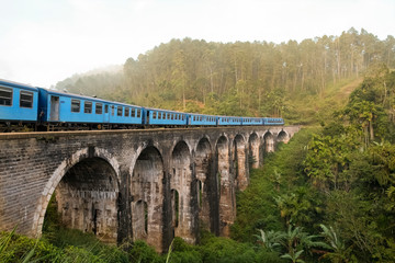 Train Passing over Nine Arch Bridge, Demodara, Sri Lanka
