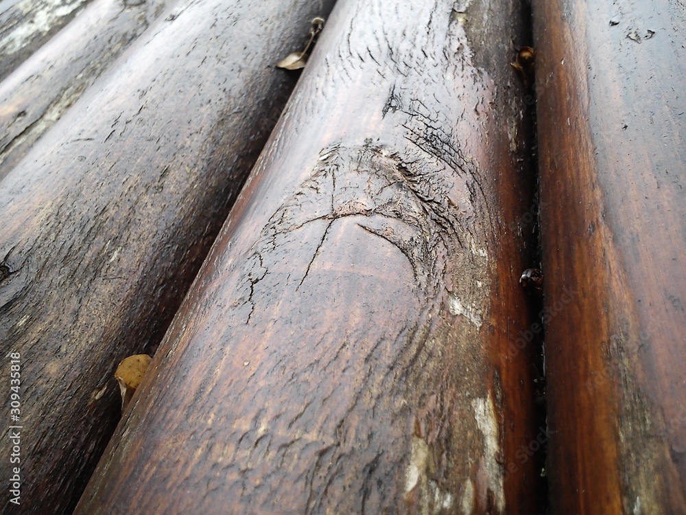 Poster the effect of moisture on wood. a construction log for use in construction without longitudinal sawi