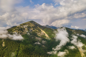 Fototapeta na wymiar Aerial view of green Carpathian mountains covered with evergreen spruce pine foreston summer sunny day.